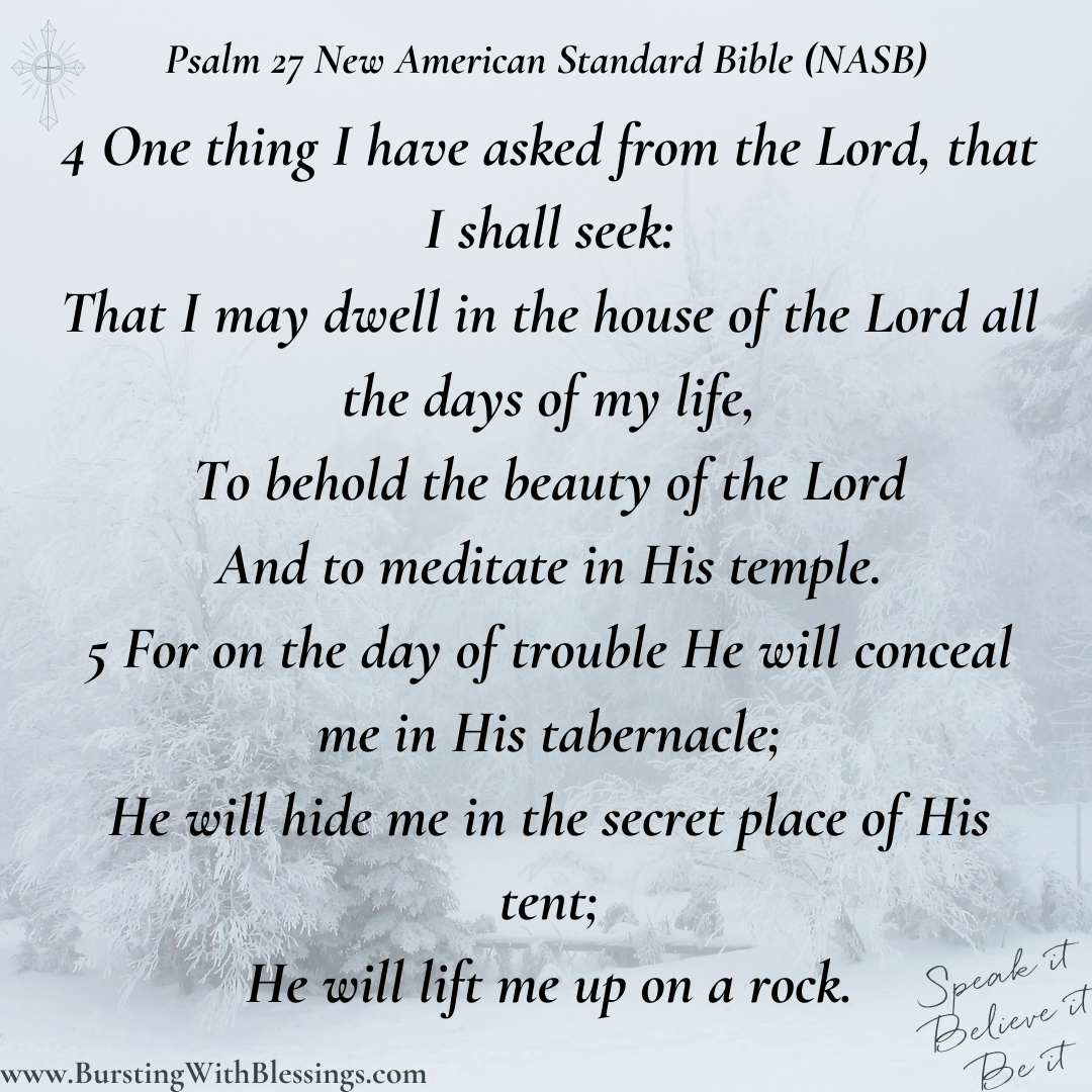 What Are You Asking From God Devotional Psalm 27 4 5